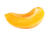 apricot-branch-animation