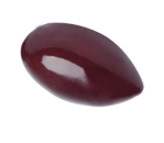 olive-branch-animation